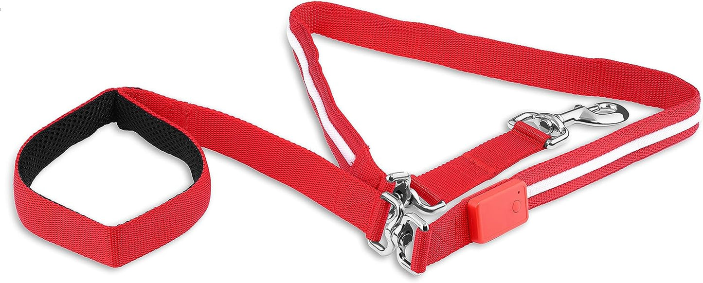 ' Safety LED Dog Leash - USB Rechargeable, 6 Ft Waterproof Design for Enhanced Visibility - Red