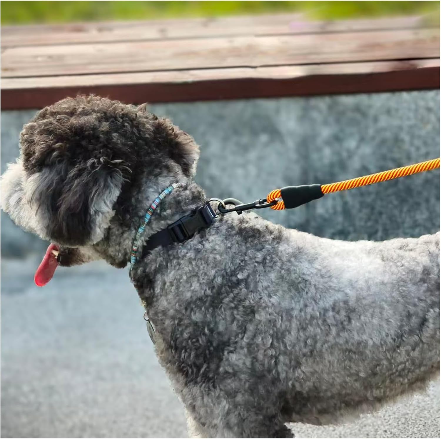 Heavy-Duty Nylon Dog Leash, 6 FT with Soft Padded Handle for Large and Medium Breeds (Orange, 1/2" x 6 FT)