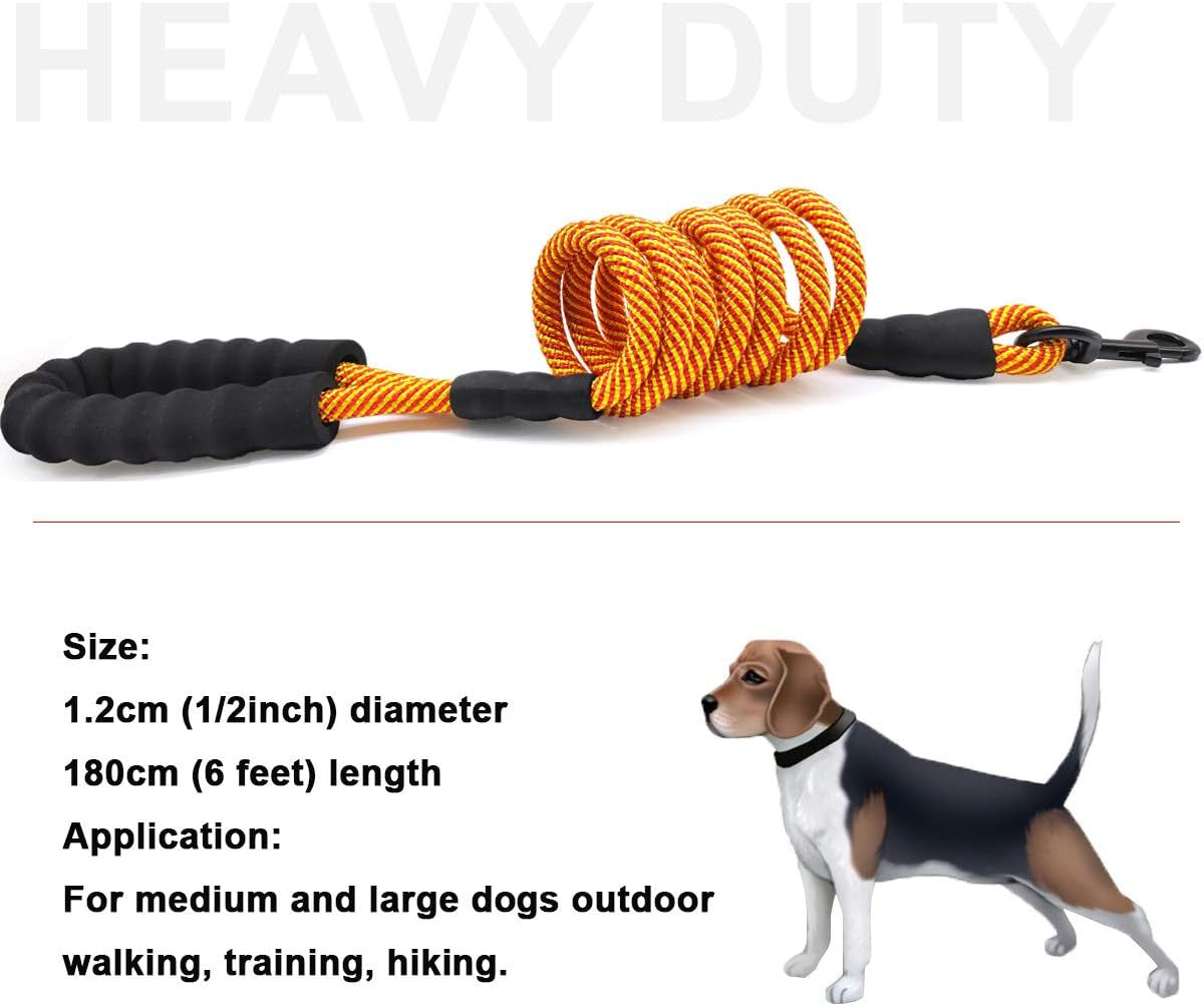 Heavy-Duty Nylon Dog Leash, 6 FT with Soft Padded Handle for Large and Medium Breeds (Orange, 1/2" x 6 FT)
